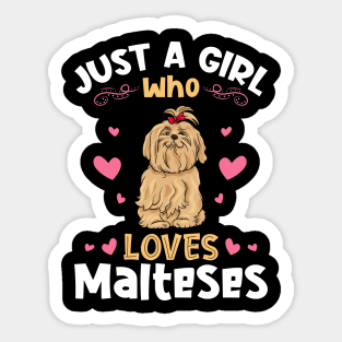 Just a Girl who loves Maltese Sticker